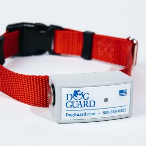 Dog Guard XT Receiver