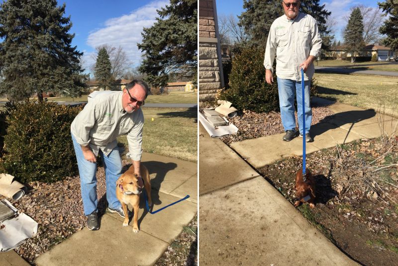 Installing in hotsell ground dog fence